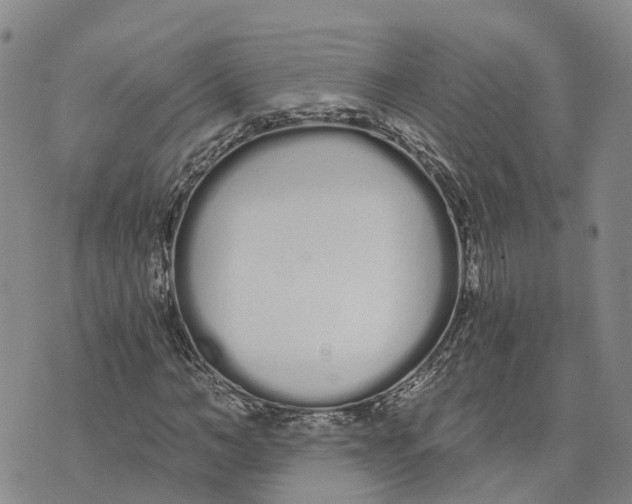 X0000073700966200608311726