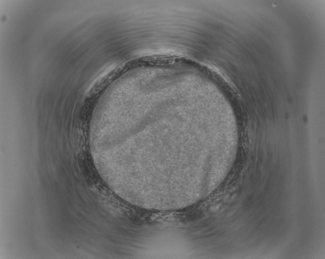 X0000073700967200608311726