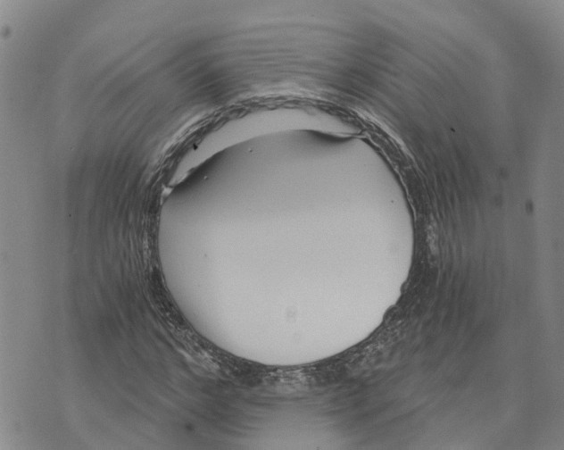 X0000073700968200608311725