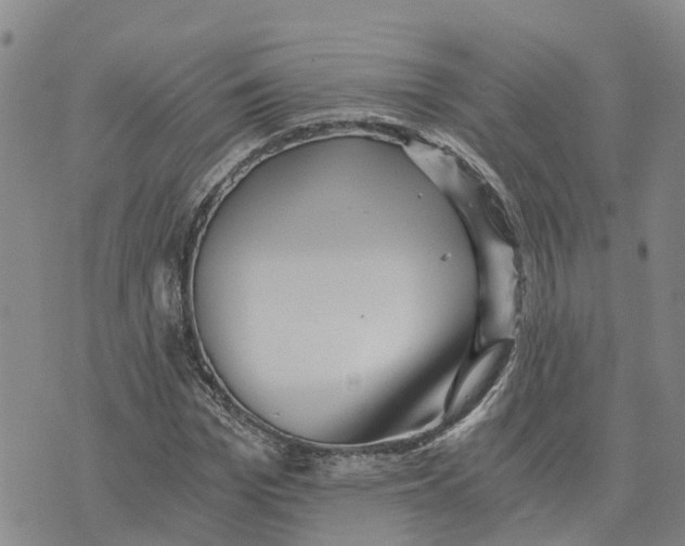 X0000073700969200608311725