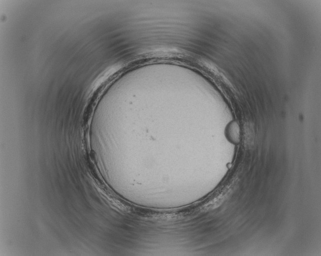 X0000073700970200608311725