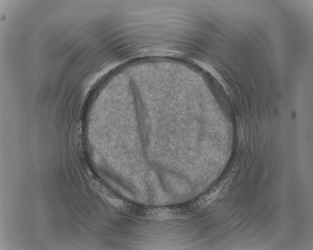 X0000073700971200608311725