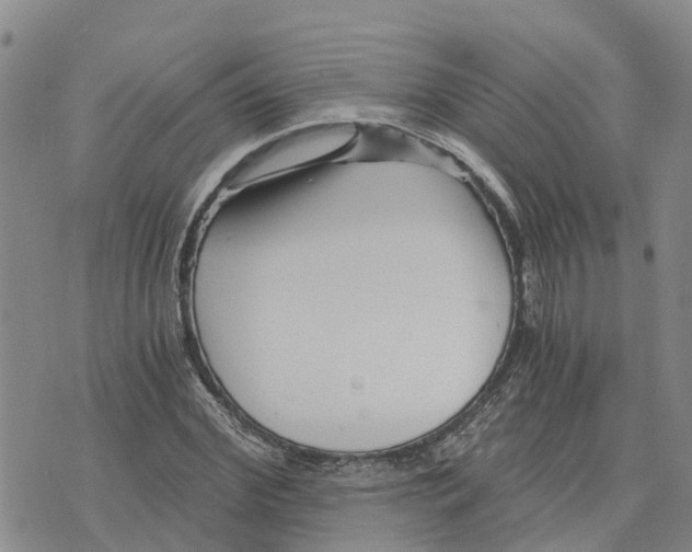 X0000073700972200608311725