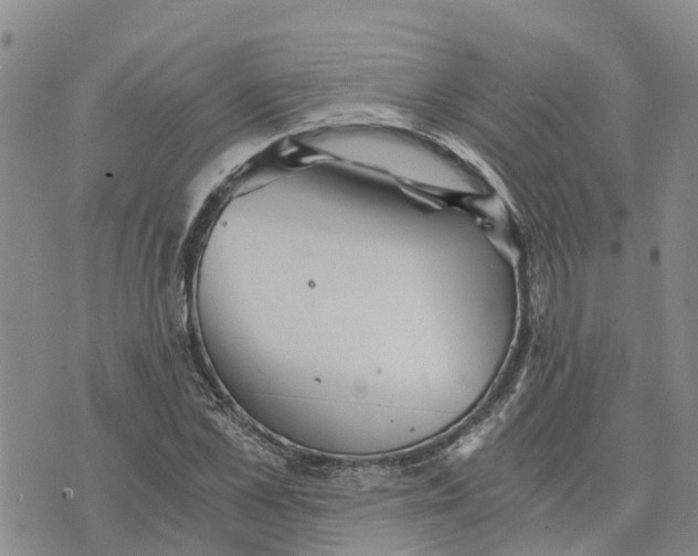 X0000073700973200608311725