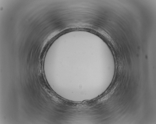 X0000073700974200608311725