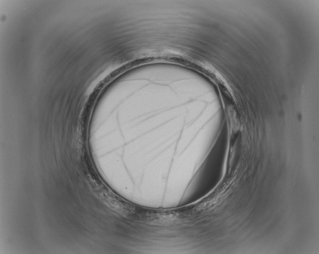 X0000073700975200608311725