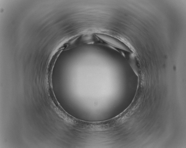 X0000073700976200608311725