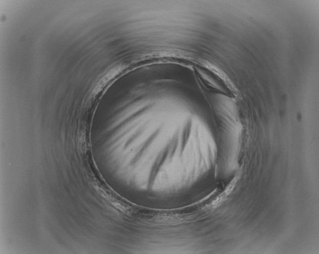 X0000073700977200608311725