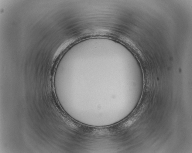 X0000073700978200608311725