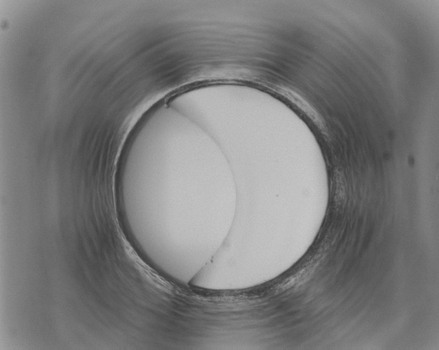 X0000073700980200608311725