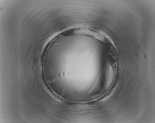 X0000073700981200608311725