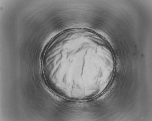 X0000073700982200608311725