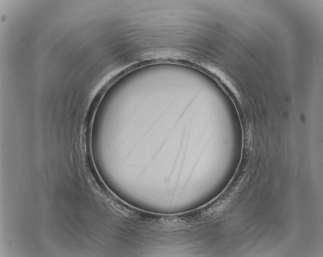 X0000073700983200608311725