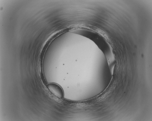 X0000073700984200608311725