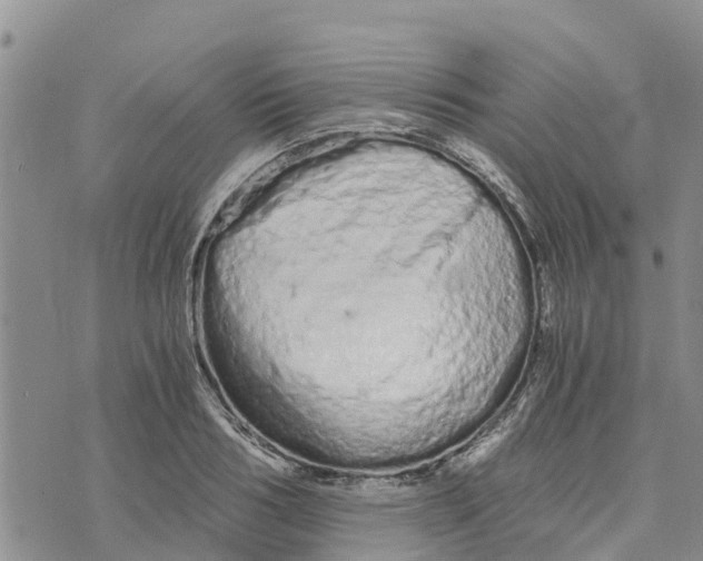 X0000073700986200608311725