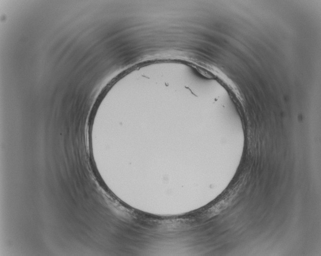 X0000073700988200608311725