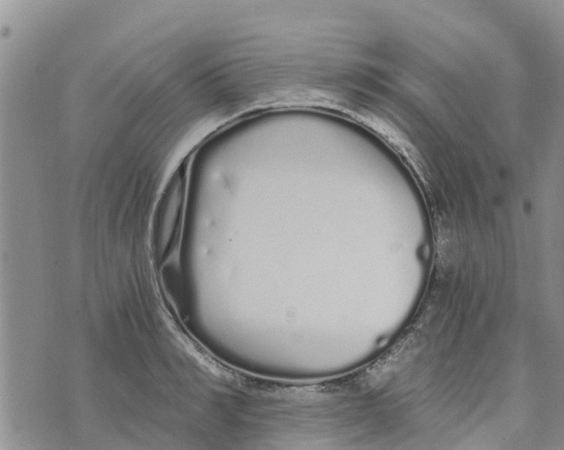 X0000073700990200608311725