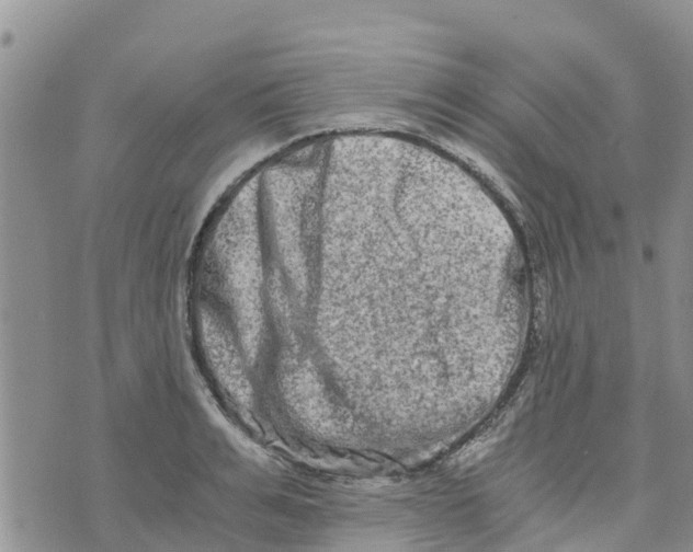 X0000073700991200608311725