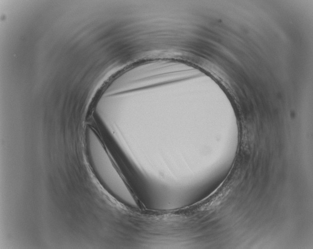 X0000073700992200608311725