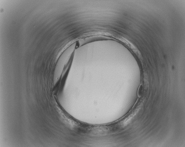 X0000073700993200608311725