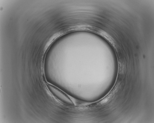 X0000073700994200608311725