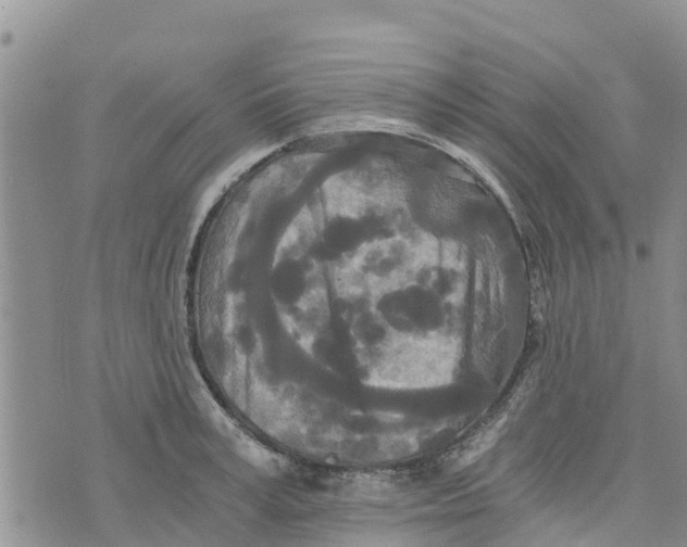 X0000073700995200608311725