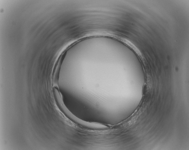 X0000073700996200608311725