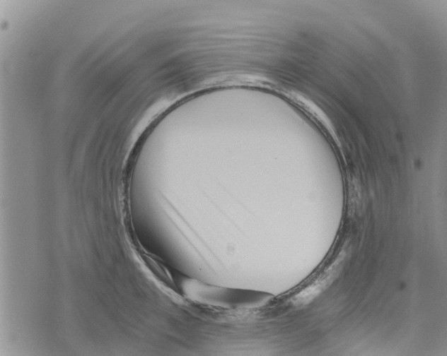 X0000073700997200608311725