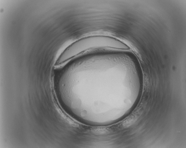 X0000073700998200608311725