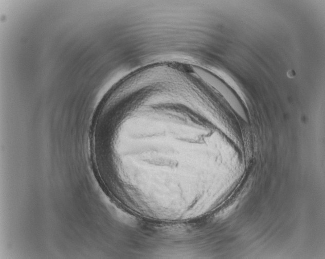 X0000073700999200608311725