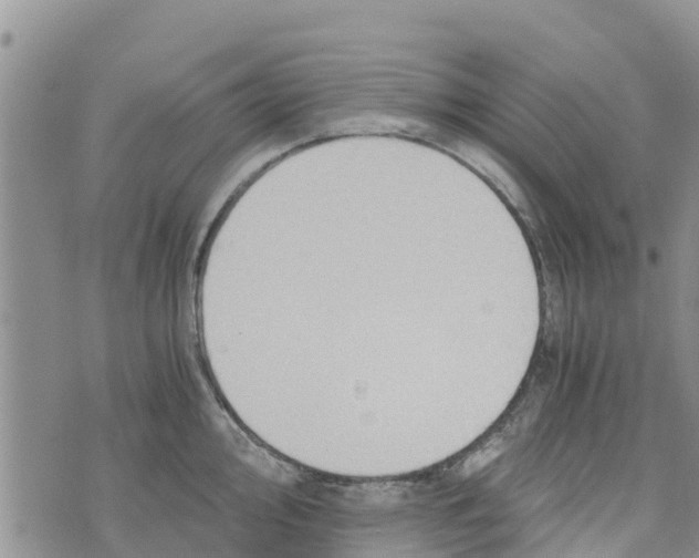 X0000073701000200608311725