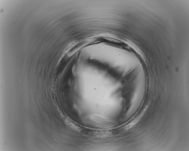 X0000073701001200608311725