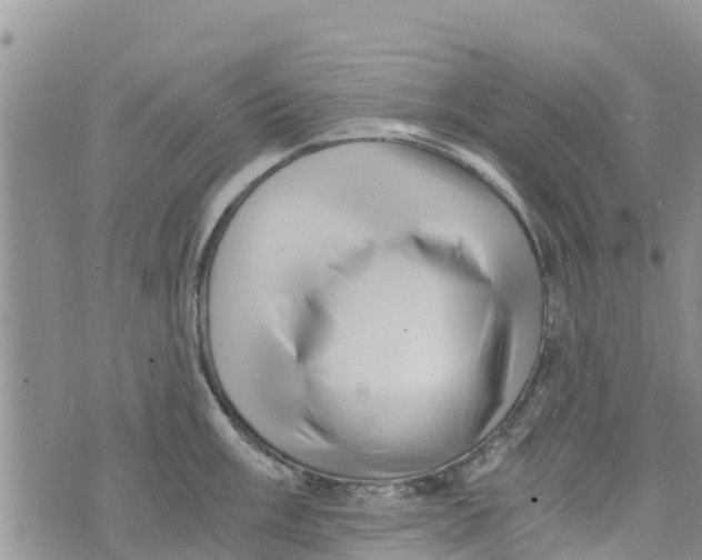 X0000073701003200608311725