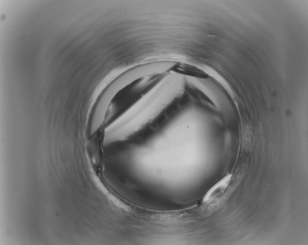 X0000073701005200608311725