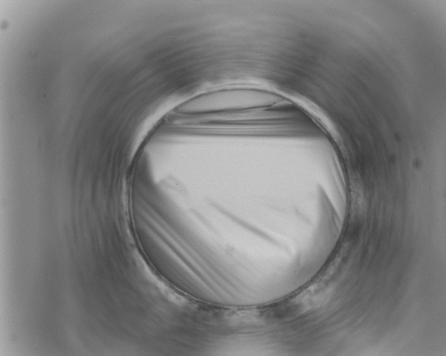 X0000073701006200608311725