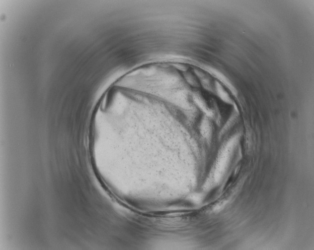 X0000073701007200608311725