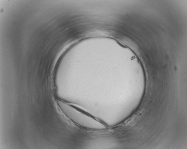 X0000073701008200608311725