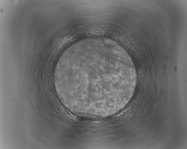 X0000073701009200608311724