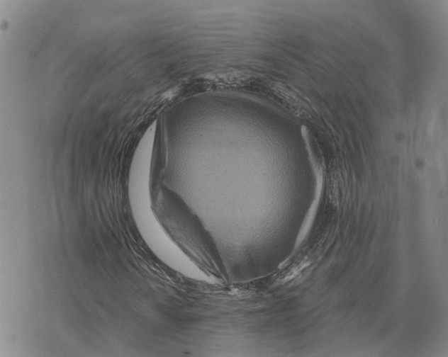 X0000073701010200608311724