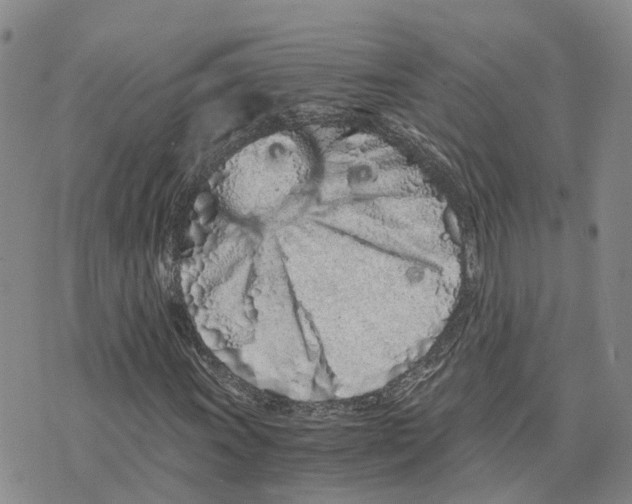 X0000073701011200608311724