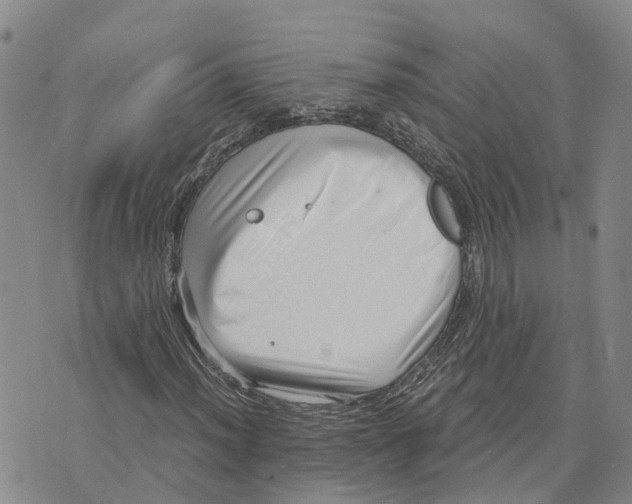 X0000073701012200608311724