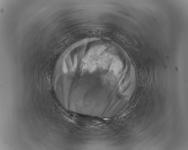 X0000073701013200608311724