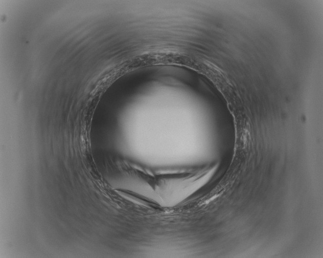 X0000073701014200608311724