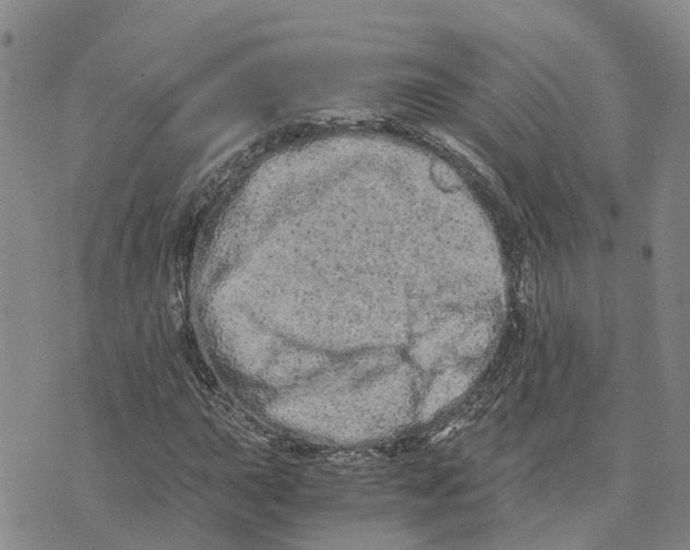 X0000073701015200608311724