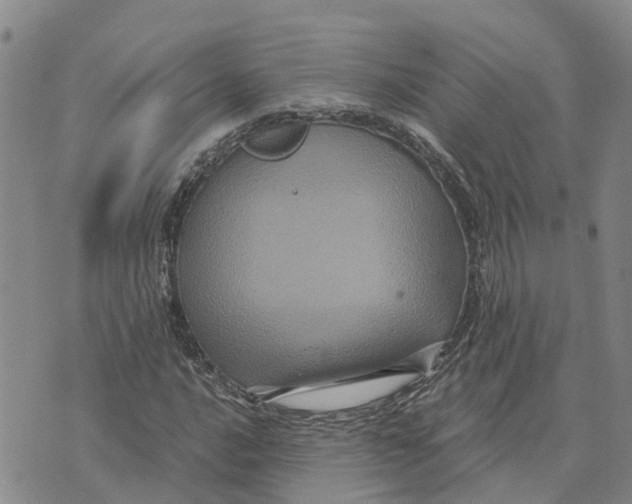 X0000073701016200608311724