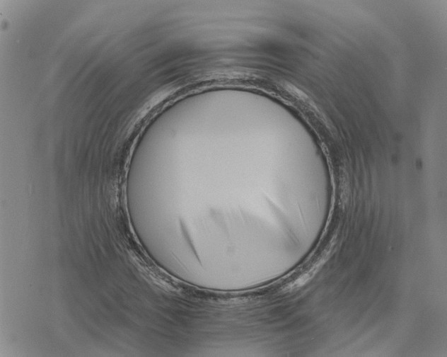 X0000073701017200608311724