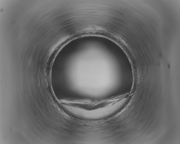 X0000073701018200608311724