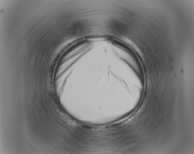 X0000073701019200608311724