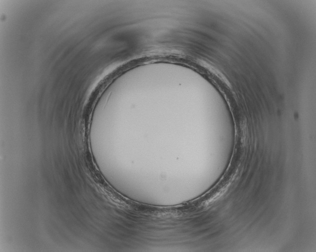 X0000073701021200608311724