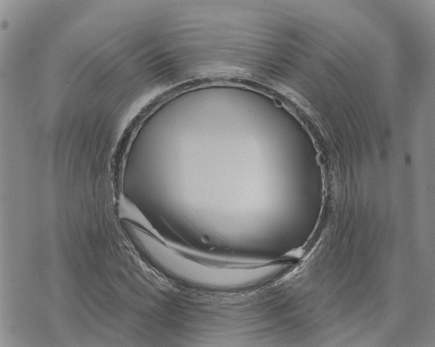 X0000073701022200608311724